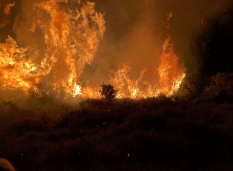 Surrey Fire and Rescue Service Urges Us All To Be ‘Wildfire Aware’