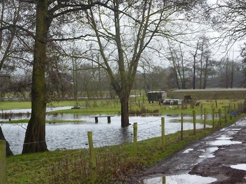 Flooded fields at Burpham Court Farm.