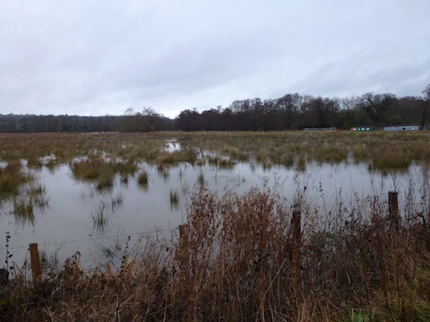 Flooded water meadows at Broadford near Shalford.