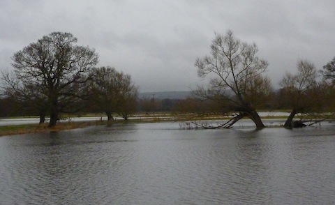 Water meadows viewed from Clay Lane, Jacobs Well.