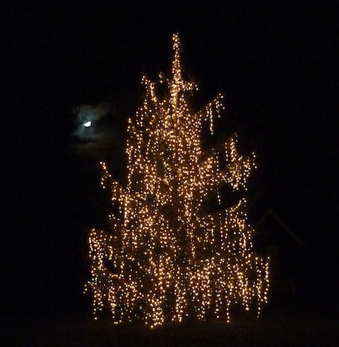 Christmas tree on the green at Perry Hill in Worplesdon. Note the moon peeping from behind the clouds.