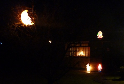 Unusual decoration lit up in the trees at this bungalow in