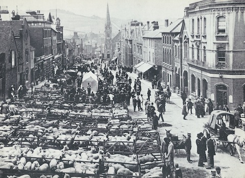 The final cattle market in North Street: June 9, 1896.