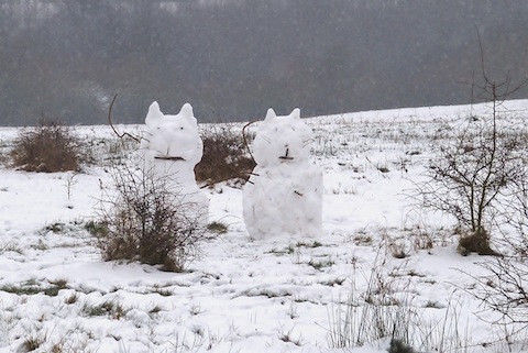 Snow cats near Stoke Lake. By Malcolm Fincham.