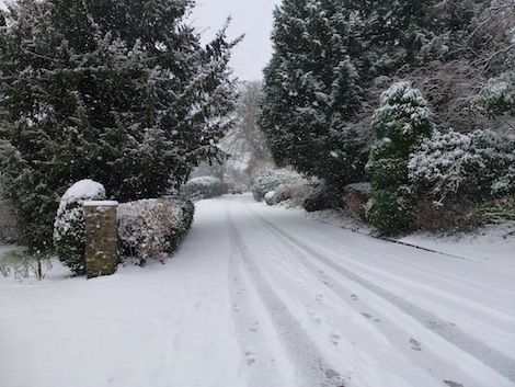 Snow Flower Walk