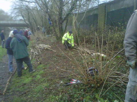 Volunteers get down to some coppicing.