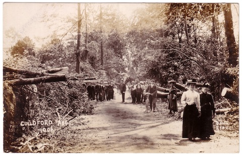 Picture postcards were produced featuring the news of the day as in this one of Guildford's Great Storm of 1906. It is a view of Woodbridge Road near the site where two people died when a tree fell on them.