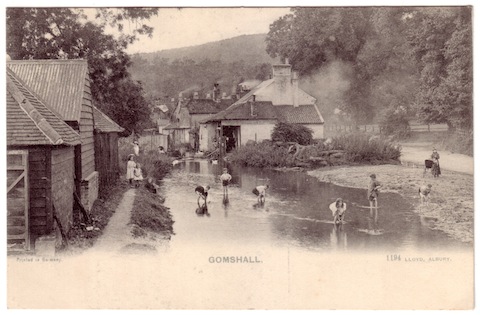 Lovely scene of Gomshall photographed by Percy Lloyd of Albury.