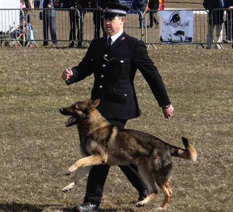 Surrey PC Graham Lightfoot and police dog Chester 