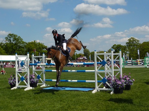 Sunny weather for the show jumping.