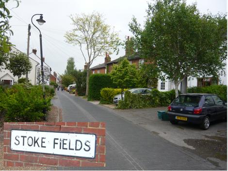 Stoke Fields where a fox fatally injured a pet dog in a back garden