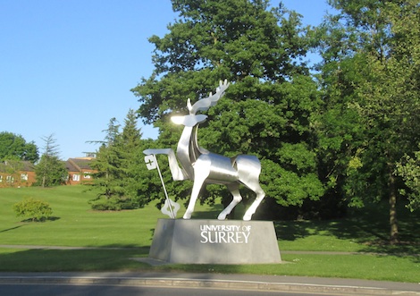 The University of Surrey