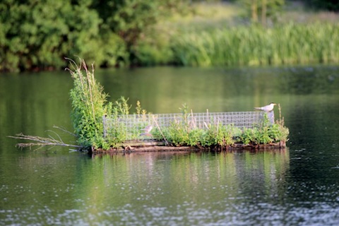 The raft at Stoke lake.