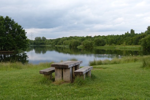 The Stoke Nature Reserve.