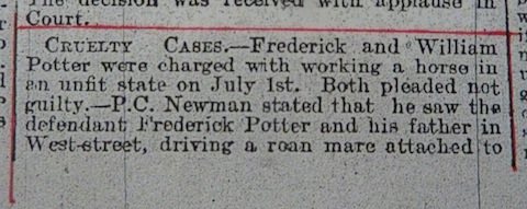 Above and picture below, story from the Surrey Mirror of 1899, regarding the Potters' court appearance for maltreating a horse.