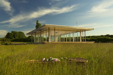 Clandon Wood's glass pavilion. All pictures by  Antony Etwell.