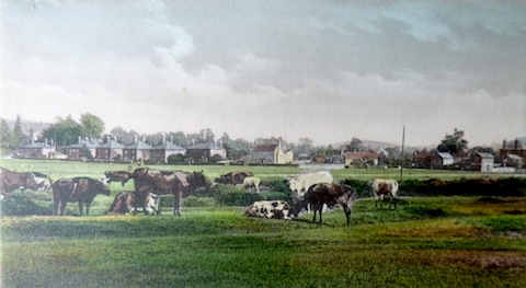 Do you recognise this scene from a picture postcard of the 1910s?