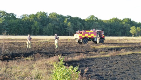 The area of burned heath can clearly be seen – now about the size of a football pitch.