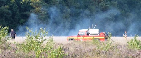 A fire crew put out the blaze on Whitmoor Common.