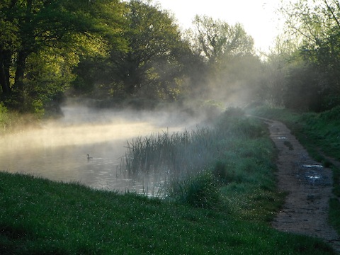 If you’re an early bird now is the perfect time to see some fantastic early morning mists along the navigation.