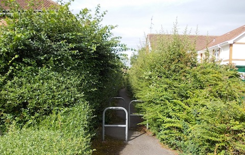 Above: An alley off Grange Road before it was cleaned up and bushes were trimmed back.