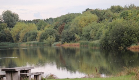 A week later on October 12 and leaves now starting to change colour at Stoke Lake.