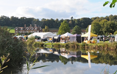 Surrey Hills Wood Fair at Birtley House. Picture by Dani Maimone.
