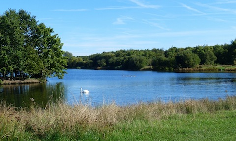 View across Stoke Lake on October 6 with most trees still green.