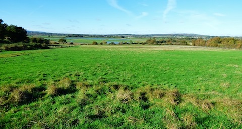 A view from the RSPB visitor centre at Pulborough Brooks.