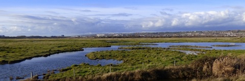 A pleasant sunny winter's day at Farlington Marshes.