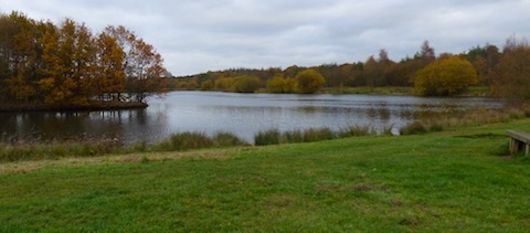 A view across Stoke Lake on the last day of November.