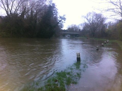 The flooded towpath at Woodbridge.