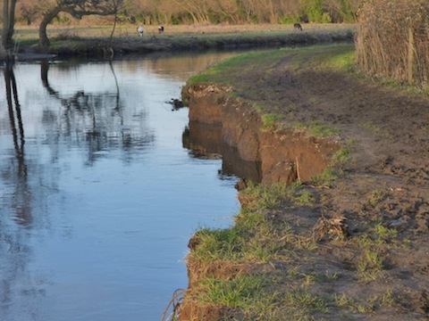 A large section of towpath between Stoke and Burpham locks eroded by floods.