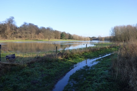 Field in flood beyond Bowers Lock.