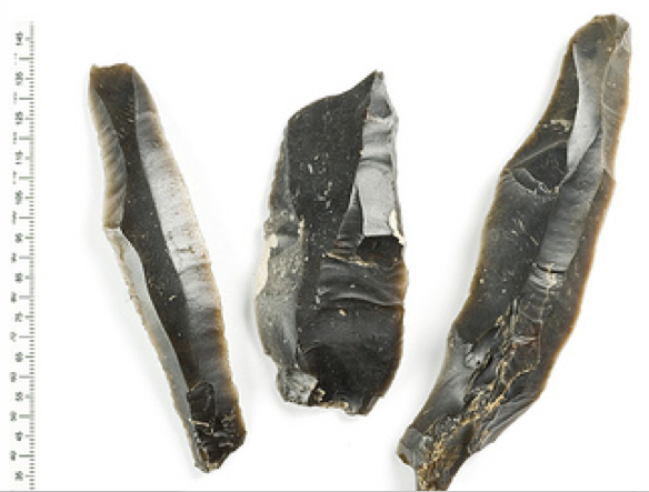 It is hoped that the flints will go on show at the Surrey History Centre.