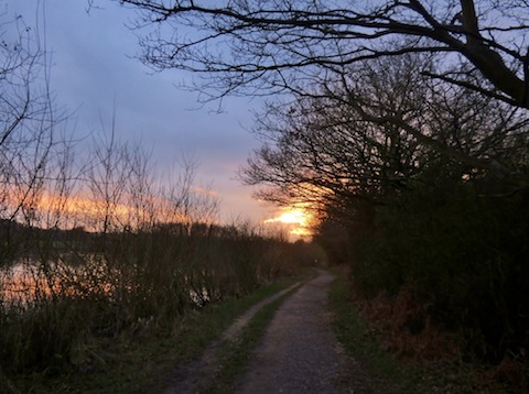 Light begins to fade as another afternoon at Stoke Lake draws to a close.