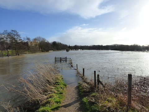 Looking upstream from Broadford Road, Shalford.