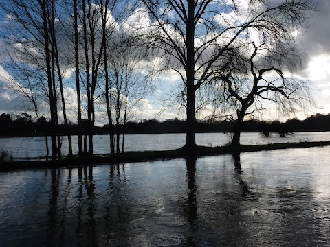 Flooded Shalford Meadows on Friday, February 7.