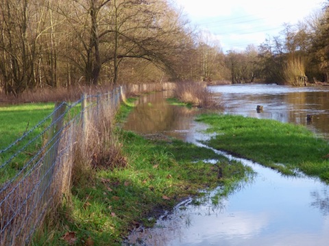 Towpath beyond Bowers Lock breached once again.