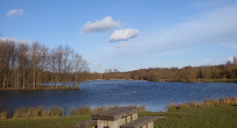View across Stoke Lake on February 2.