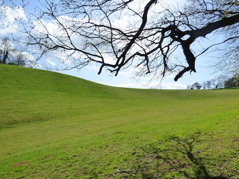 The Guildford Greenbelt Groups wants to make sure local countryside is not built upon.