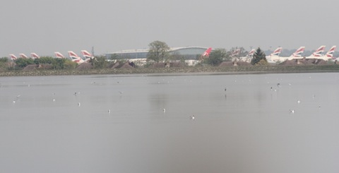 View across Staines Reservoir in the direction of Heathrow Airport. Note the tails of the 'big tin birds'.