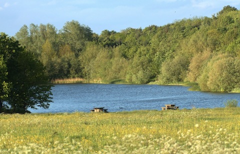 A view from the southern end of Stoke Reserve towards Stoke Lake.