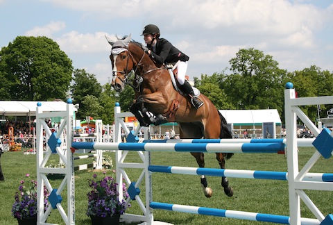 The ever popular showjumping.