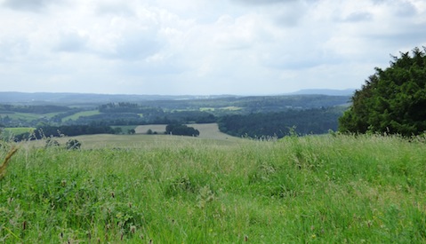 Many fear the green belt around Guildford is under threat.