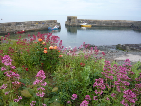 Craster is a pretty little fishing port, well worth the extra few miles to visit.