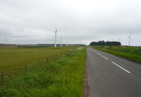 The wind farm, on parade, ready for inspection.