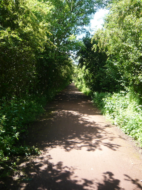 The Haddington - Longniddry trail, a disused railway line.