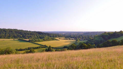 Looking south from Pewley Down on a pleasant evening.