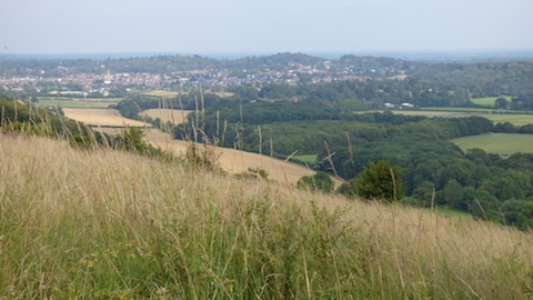 A view from Ranmore Common looking towards Dorking.